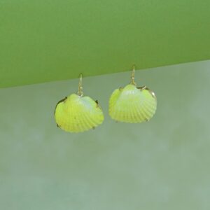 Coloury Claw Sea Shell Drops